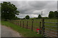 Horse paddocks at Colleg Cambria, Northop