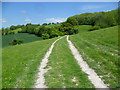 The Elham Valley Way near Pierceley Wood