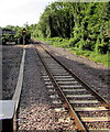 Line SSE of Pye Corner railway station, Newport