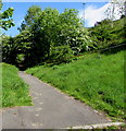 Path choice from Pont-y-gof, Ebbw Vale