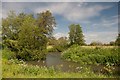 Bend in the River Parrett near Joylers Mill