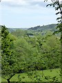 Valley of the Barle from Burridge Woods