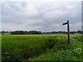 TL4532 : Footpath near Brocking Farm by Bikeboy