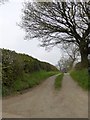 Track to Winnington Lodge Farm