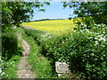 The Elham Valley Way and line of the Elham Valley Railway seen from Duck Street, Elham