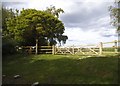 Gate on Tower Hill Lane