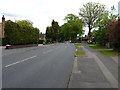 Cranmore Boulevard, Blossomfield