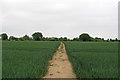 Public footpath over arable land, Raydon