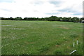 Playing field by Green End Road