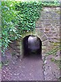 Tunnel under the approach to Towneley Farm