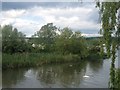 Thrapston Lakes & River Nene