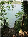SW7526 : A small staircase leads down from Pengwedhen Wood (NT) to the South shore of the Helford River by Dr Duncan Pepper