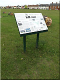TM1179 : Information Board on Fair Green by Geographer
