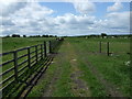 Farm track (footpath), Leamside