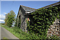 Ivy Growing on a Traditional Barn