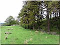 Site of former High Nest Lead Mine