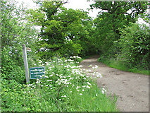 TG3614 : Bridleway fingerpost by Leist's Farm by Evelyn Simak