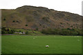 View Towards Brent Rake