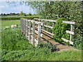 TF1306 : Wooden footbridge across South Drain near Etton by Paul Bryan