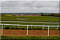 Gallops at Middle Caves