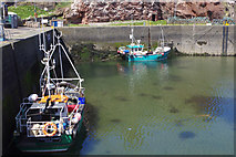 NT6779 : Victoria Harbour, Dunbar by Stephen McKay