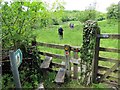 Llwybr Llandyfan Path