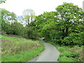 Road near Heaton