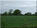 Crop field off Bosworth Lane (B585) 