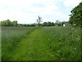 Cut bridleway