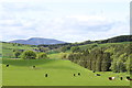 View from Biggarshiels Road towards Tinto