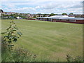 Grove Lea School Playing Fields - off Grove Terrace