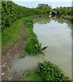 Damaged towpath along the Oxford Canal