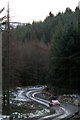 Porsche on Caeo Forest track