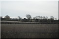 Farmland by Banbury Rd