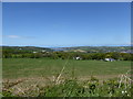 View to the Teifi estuary