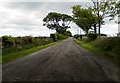 Farm road to Mains of Lauriston