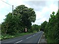 Wingham Road, near Littlebourne