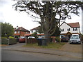 TQ0166 : Houses on Almners Road, Lyne by David Howard