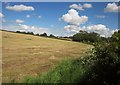 Harvested field near New House Farm