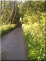 Green Lane in May Farnley, Leeds