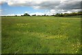 Meadow by Abson Edith Farm