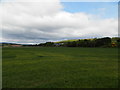 Field at Hawkhill Farm, Glenbervie