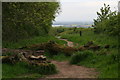 Mossy logs at the top of Spout Hill, Brantingham