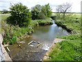 Weir and fish pass