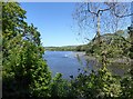 The Teifi Estuary