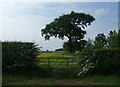 Field entrance off the B5493