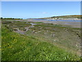 Mudflats, Teifi estuary