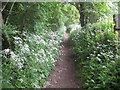 South Bucks Way: West of the M25 Motorway