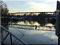 The Thames at Brentford