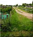 Path south from Knatchbull Close through Romsey Allotments